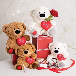 Special Occasion Soft Toys