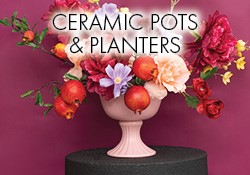 ceramic pots 