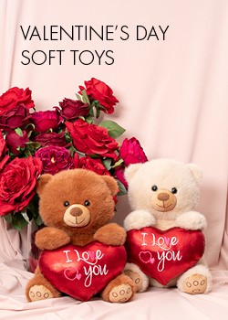 soft toys