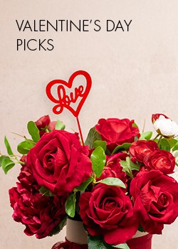 valentines day picks