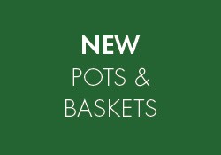 new pots and baskets