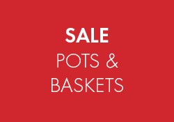 sale pots and baskets