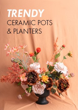ceramic pots and planters