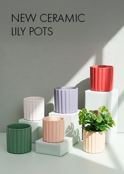 lily ceramic pots