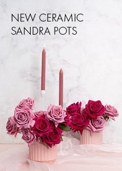 sandra pots