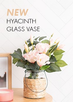 Hyacinth Glass Vases