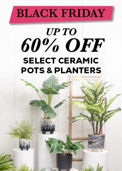 bf week 4 ceramic pots