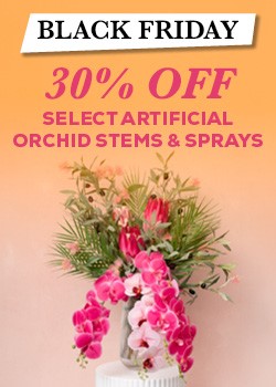 bf orchid stems and sprays 