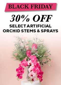 bf week 4 orchid stems and sprays