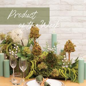 ✨🌿 This week’s Product of the Week is… our Artificial Moss Arrangement Display Piece!
Add an instant touch of lush, earthy texture to your home or event. This ready-made display brings the beauty of natural moss without any maintenance — perfect for styling shelves, centrepieces, and decorative vignettes.

✔ Realistic, vibrant green finish
✔ Low-maintenance styling staple
✔ Ideal for home décor, events, and retail displays

Bring nature-inspired elegance into your space effortlessly. Shop now in-store and online.
.
.
.
#ProductOfTheWeek #KochandCo #HomeDecor #EventStyling #MossArrangement #InteriorStyling