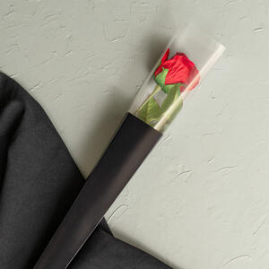 🌹 FLORIST ESSENTIAL | 𝐀𝐜𝐞𝐭𝐚𝐭𝐞 𝐏𝐫𝐞𝐦𝐢𝐮𝐦 𝐒𝐪𝐮𝐚𝐫𝐞 𝐑𝐨𝐬𝐞 𝐂𝐨𝐧𝐞𝐬

Display that single stem with impact! Our Premium Square Rose Cone in Black with clear PVC top shows off the bloom while keeping it protected.

𝐒𝐡𝐨𝐩 𝐭𝐡𝐞 𝐫𝐚𝐧𝐠𝐞 𝐢𝐧-𝐬𝐭𝐨𝐫𝐞 & 𝐨𝐧𝐥𝐢𝐧𝐞 𝐧𝐨𝐰 𝐯𝐢𝐚 𝐭𝐡𝐞 𝐥𝐢𝐧𝐤 𝐢𝐧 𝐨𝐮𝐫 𝐛𝐢𝐨.
.
.
.
#Koch #KochAndCo #floristsupplies #floristpackaging #floristlife #boutiqueflorist #floralpresentation #rosepackaging #singleflower #valentinesflorist #flowerwrapping