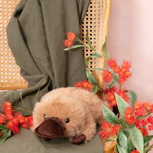 🦘 𝐀𝐮𝐬𝐭𝐫𝐚𝐥𝐢𝐚 𝐃𝐚𝐲, 𝐛𝐮𝐭 𝐦𝐚𝐤𝐞 𝐢𝐭 𝐜𝐮𝐭𝐞 🐨

Celebrate with our much-loved Australian animal soft toys — because nothing says Australia like our native icons!

Perfect for Australia Day window displays or adding a playful local touch to your store, hampers, or home.

𝐒𝐡𝐨𝐩 𝐭𝐡𝐞 𝐫𝐚𝐧𝐠𝐞 𝐢𝐧-𝐬𝐭𝐨𝐫𝐞 𝐨𝐫 𝐨𝐧𝐥𝐢𝐧𝐞 𝐯𝐢𝐚 𝐭𝐡𝐞 𝐥𝐢𝐧𝐤 𝐢𝐧 𝐨𝐮𝐫 𝐛𝐢𝐨.
.
.
.
#Koch #KochAndCo #AustraliaDay #AustralianIcons #AussieAnimals #SoftToys #GiftIdeas #RetailInspo #Hampers #KidsGifts #ShopAustralian