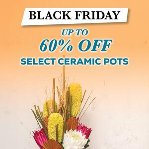 🧡 𝐁𝐞 𝐐𝐔𝐈𝐂𝐊, 𝐁𝐋𝐀𝐂𝐊 𝐅𝐑𝐈𝐃𝐀𝐘 𝐒𝐀𝐋𝐄𝐒 𝐇𝐚𝐯𝐞 𝐒𝐭𝐚𝐫𝐭𝐞𝐝! - 𝐆𝐞𝐭 𝐮𝐩 𝐭𝐨 𝟔𝟎% 𝐎𝐅𝐅 𝐬𝐞𝐥𝐞𝐜𝐭 𝐂𝐞𝐫𝐚𝐦𝐢𝐜 𝐏𝐨𝐭𝐬 — while stocks last! 🖤

Perfect for homes, florists, and event stylists alike, now is the time to refresh your displays with styles including:

✨ Satin Matte finish

✨ Footed Pots 

✨ Florist Ceramic Pots 

& more!

𝐒𝐡𝐨𝐩 𝐧𝐨𝐰 𝐯𝐢𝐚 𝐭𝐡𝐞 𝐥𝐢𝐧𝐤 𝐢𝐧 𝐨𝐮𝐫 𝐛𝐢𝐨 𝐨𝐫 𝐯𝐢𝐬𝐢𝐭 𝐮𝐬 𝐢𝐧-𝐬𝐭𝐨𝐫𝐞 before they’re gone!
.
.
.
#Kochandco #Koch #BlackFridaySale #CeramicPots #Planters #HomeDecor #FloristSupplies #EventStyling #RetailDisplay #InteriorDesign #HomeInspo #KochandCo #SaleAlert