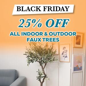 🧡 𝐁𝐞 𝐐𝐔𝐈𝐂𝐊, 𝐁𝐋𝐀𝐂𝐊 𝐅𝐑𝐈𝐃𝐀𝐘 𝐒𝐀𝐋𝐄𝐒 𝐇𝐚𝐯𝐞 𝐒𝐭𝐚𝐫𝐭𝐞𝐝! 𝐆𝐞𝐭 𝟐𝟓% 𝐎𝐅𝐅 𝐀𝐋𝐋 𝐈𝐧𝐝𝐨𝐨𝐫 & 𝐎𝐮𝐭𝐝𝐨𝐨𝐫 𝐅𝐚𝐮𝐱 𝐓𝐫𝐞𝐞𝐬— while stocks last! 🖤

That’s right — save 25% on every eucalyptus, olive, palm, rubber tree, & more.

With 𝟑𝟎+ 𝐬𝐭𝐲𝐥𝐞𝐬 and sizes to choose from, it’s the perfect time to refresh your space.

𝐒𝐡𝐨𝐩 𝐧𝐨𝐰 𝐯𝐢𝐚 𝐭𝐡𝐞 𝐥𝐢𝐧𝐤 𝐢𝐧 𝐨𝐮𝐫 𝐛𝐢𝐨 𝐨𝐫 𝐯𝐢𝐬𝐢𝐭 𝐮𝐬 𝐢𝐧-𝐬𝐭𝐨𝐫𝐞 before they’re gone!
.
.
.
#Kochandco #Koch #BlackFriday #FauxTrees #ArtificialPlants #IndoorPlants #OutdoorDecor #HomeStyling #EventStyling #FloristSupplies #WholesaleDecor
