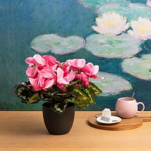 🌹 NEW ARRIVALS! | Refresh colour in your space with our 𝐍𝐄𝐖 𝐅𝐚𝐮𝐱 𝐏𝐨𝐭𝐭𝐞𝐝 𝐂𝐲𝐜𝐥𝐚𝐦𝐞𝐧!

Detailed leaves and those iconic upturned blooms (available in three colours) make this a realistic, long-lasting potted plant for retail, corporate, and home décor. 

Shop the range now via the link in our bio!
.
.
.
#Kochandco #Koch #FauxPlants #ArtificialPlants #Cyclamen #FauxCyclamen #PottedPlants #HomeDecorAU #RetailDisplay #StoreMerchandising #EventStyling