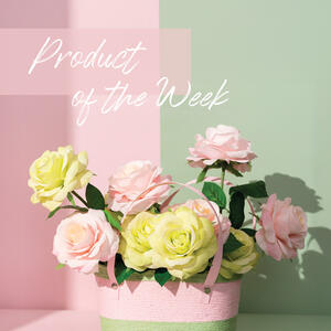 ✨💐 Product of the Week: Our Flower Carry Baskets — Now in 6 Fresh NEW Colours!

Say hello to one of our most-loved florist essentials… now brighter, bolder, and more versatile than ever.
Our Flower Carry Baskets are now available in SIX new colours — Pink & Green, Green, Yellow, White, Black, and Red — giving you endless styling possibilities for gifting, hampers, flower wraps, and retail displays.

Why florists & makers love them:
✔ Durable yet lightweight
✔ Perfect for fresh or faux arrangements
✔ Features a hard PET liner, making it suitable for wet floral foam
✔ Easy to shape & style
✔ Adds a premium, handmade look to your creations
✔ Mix, match & colour-coordinate your baskets, blooms, and ribbons

From pastel tones to vibrant brights, there’s a shade for every season, theme, and workshop bench.
Shop the full range in-store & online now.
.
.
.
#KochandCo #ProductOfTheWeek #FloristSupplies #HamperPackaging #FlowerBasket #BasketLiner #GiftPackagingAU #FloristEssentials #AussieFlorist #CraftSuppliesAU #KochCreative