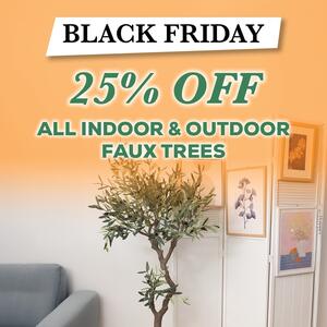 🧡 𝐁𝐞 𝐐𝐔𝐈𝐂𝐊, 𝐁𝐋𝐀𝐂𝐊 𝐅𝐑𝐈𝐃𝐀𝐘 𝐒𝐀𝐋𝐄𝐒 𝐇𝐚𝐯𝐞 𝐒𝐭𝐚𝐫𝐭𝐞𝐝! 𝐆𝐞𝐭 𝟐𝟓% 𝐎𝐅𝐅 𝐀𝐋𝐋 𝐈𝐧𝐝𝐨𝐨𝐫 & 𝐎𝐮𝐭𝐝𝐨𝐨𝐫 𝐅𝐚𝐮𝐱 𝐓𝐫𝐞𝐞𝐬— while stocks last! 🖤

That’s right — save 25% on every eucalyptus, olive, palm, rubber tree, & more.

With 𝟑𝟎+ 𝐬𝐭𝐲𝐥𝐞𝐬 and sizes to choose from, it’s the perfect time to refresh your space.

𝐒𝐡𝐨𝐩 𝐧𝐨𝐰 𝐯𝐢𝐚 𝐭𝐡𝐞 𝐥𝐢𝐧𝐤 𝐢𝐧 𝐨𝐮𝐫 𝐛𝐢𝐨 𝐨𝐫 𝐯𝐢𝐬𝐢𝐭 𝐮𝐬 𝐢𝐧-𝐬𝐭𝐨𝐫𝐞 before they’re gone!
.
.
.
#Kochandco #Koch #BlackFriday #FauxTrees #ArtificialPlants #IndoorPlants #OutdoorDecor #HomeStyling #EventStyling #FloristSupplies #WholesaleDecor
