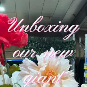 🌻Our Giant Paper Flowers have arrived and we are obsessed 🌸 
These tall, sculptural blooms are designed to make a statement in any space.
 
If you think they look impressive on screen, wait until you see them in person. Available in over 20 colours, styles and sizes.
 
Perfect for events, displays, photoshoots, or bold styling moments.
.
.
.
#GiantPaperFlowers #StatementFlorals #EventStyling #VisualMerchandising #ShopDisplay FloralStyling EventDecor CreativeStyling LargeScaleFlorals PaperFlowers DesignInspiration StylingIdeas FloristSupplies EventProfessionals RetailStyling KochAndCo