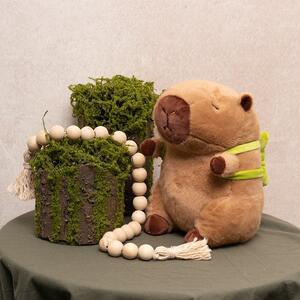 ✨ NEW ARRIVALS! | Cuddle up to our 𝐍𝐄𝐖 𝐂𝐚𝐩𝐲𝐛𝐚𝐫𝐚 𝐒𝐨𝐟𝐭 𝐏𝐥𝐮𝐬𝐡 𝐓𝐨𝐲𝐬!

Made of super-soft, super-squishy fabric, you can find a capybara friend for every occasion! 

𝐒𝐡𝐨𝐩 𝐭𝐡𝐞 𝐫𝐚𝐧𝐠𝐞 𝐢𝐧-𝐬𝐭𝐨𝐫𝐞 𝐚𝐧𝐝 𝐨𝐧𝐥𝐢𝐧𝐞 𝐧𝐨𝐰 𝐯𝐢𝐚 𝐭𝐡𝐞 𝐥𝐢𝐧𝐤 𝐢𝐧 𝐨𝐮𝐫 𝐛𝐢𝐨!
.
.
.
#Koch #KochAndCo #CapybaraSoftToys #PlushToys #Teddytime #GiftIdeas #CuteGifts #WholesaleToys #GiftStore #HamperAddOn #RetailDisplay