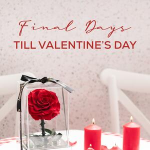 ❤️ 𝐅𝐢𝐧𝐚𝐥 𝐝𝐚𝐲𝐬 𝐛𝐞𝐟𝐨𝐫𝐞 𝐕𝐚𝐥𝐞𝐧𝐭𝐢𝐧𝐞’𝐬 𝐃𝐚𝐲 ❤️

Still searching for the perfect gift? 𝐌𝐚𝐤𝐞 𝐚 𝐥𝐚𝐬𝐭-𝐦𝐢𝐧𝐮𝐭𝐞 𝐝𝐚𝐬𝐡 𝐭𝐨 𝐊𝐨𝐜𝐡 and discover our stunning range of Amore™ Forever Roses — beautifully presented, long-lasting, and designed to make a lasting impression.

𝐒𝐡𝐨𝐩 𝐢𝐧-𝐬𝐭𝐨𝐫𝐞 𝐧𝐨𝐰 -- 𝐰𝐞 𝐚𝐫𝐞 𝐨𝐩𝐞𝐧 𝐞𝐯𝐞𝐫𝐲 𝐝𝐚𝐲 𝐮𝐩 𝐭𝐢𝐥𝐥 𝐚𝐧𝐝 𝐢𝐧𝐜𝐥𝐮𝐝𝐢𝐧𝐠 𝐕𝐚𝐥𝐞𝐧𝐭𝐢𝐧𝐞'𝐬 𝐃𝐚𝐲, 𝐒𝐚𝐭𝐮𝐫𝐝𝐚𝐲 𝟏𝟒𝐭𝐡! 𝐆𝐞𝐭 𝐝𝐢𝐫𝐞𝐜𝐭𝐢𝐨𝐧𝐬 𝐯𝐢𝐚 𝐭𝐡𝐞 𝐥𝐢𝐧𝐤 𝐢𝐧 𝐨𝐮𝐫 𝐛𝐢𝐨.
.
.
.
#KochAndCo #Koch #ValentinesDayGift #FinalDays #SydneyShopping #ForeverRoses #AmoreRoses #GiftInspo #LastMinuteGift #RomanticGifts