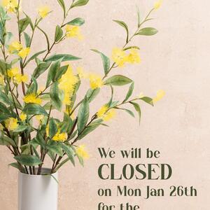 🦘 𝐀𝐮𝐬𝐭𝐫𝐚𝐥𝐢𝐚 𝐃𝐚𝐲 𝐏𝐮𝐛𝐥𝐢𝐜 𝐇𝐨𝐥𝐢𝐝𝐚𝐲 𝐂𝐥𝐨𝐬𝐮𝐫𝐞 🐨

We will be closed on Monday 26th January for the Australia Day Public Holiday. This applies to our Auburn Superstore, Huntingwood Click & Collect, and Customer Care hotline. 

𝐖𝐞’𝐥𝐥 𝐛𝐞 𝐛𝐚𝐜𝐤 𝐭𝐨 𝐛𝐮𝐬𝐢𝐧𝐞𝐬𝐬 𝐚𝐬 𝐮𝐬𝐮𝐚𝐥 𝐨𝐧 𝐓𝐮𝐞𝐬𝐝𝐚𝐲, ready to help with all your orders and enquiries.

Enjoy the long weekend! 
.
.
.
#Koch #KochAndCo #AustraliaDay #PublicHolidayNotice #LongWeekend #AustraliaDay2026