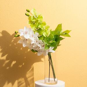 ✨ NEW IN | 𝐑𝐞𝐚𝐥 𝐓𝐨𝐮𝐜𝐡 𝟗 𝐇𝐞𝐚𝐝 𝐂𝐲𝐦𝐛𝐢𝐝𝐢𝐮𝐦 𝐎𝐫𝐜𝐡𝐢𝐝𝐬

These stunning orchids feature beautifully realistic blooms with premium Real Touch detail. Perfect for bold arrangements, offering a tropical touch, and linear height.

𝐒𝐡𝐨𝐩 𝐢𝐧-𝐬𝐭𝐨𝐫𝐞 & 𝐨𝐧𝐥𝐢𝐧𝐞 𝐧𝐨𝐰 𝐯𝐢𝐚 𝐭𝐡𝐞 𝐥𝐢𝐧𝐤 𝐢𝐧 𝐨𝐮𝐫 𝐛𝐢𝐨.
.
.
.
#KochAndCo #Koch #ArtificialOrchids #CymbidiumOrchid #RealTouchFlowers #HomeDecor #EventStyling #WeddingFlowers #FauxOrchids #ArtificialOrchids