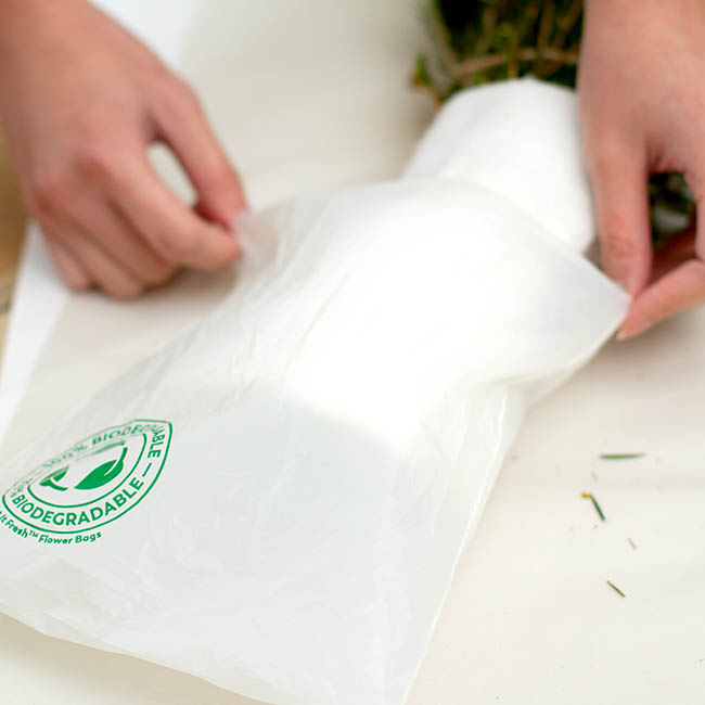 Get it Fresh Biodegradable Flower Bag Large 25x24cm Pack 32