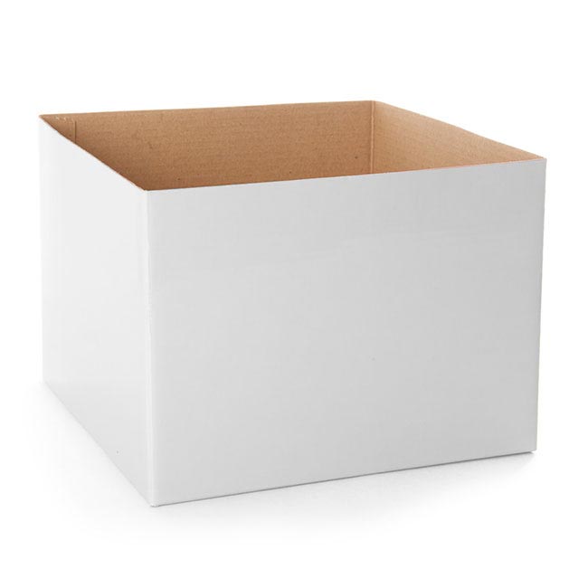 Posy Box Economy Medium White (19x14cmH)