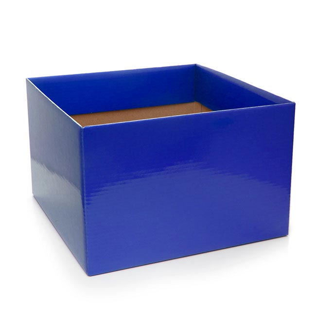 Posy Box Large with Flap Cobalt Blue (22x14cmH)