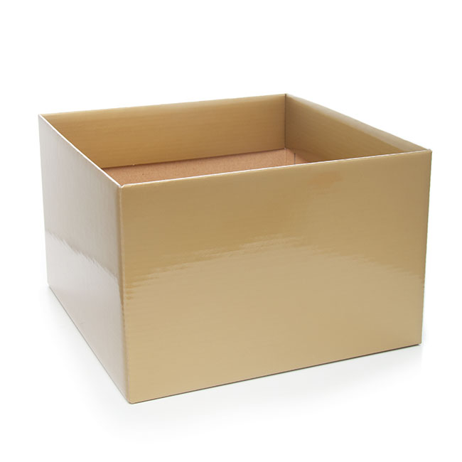 Posy Box Large with Flap Gold (22x14cmH)