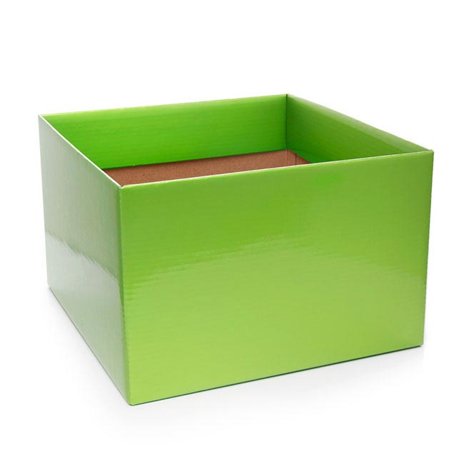 Posy Box Large with Flap Lime Green (22x14cmH)