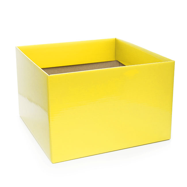 Posy Box Large with Flap Yellow (22x14cmH)