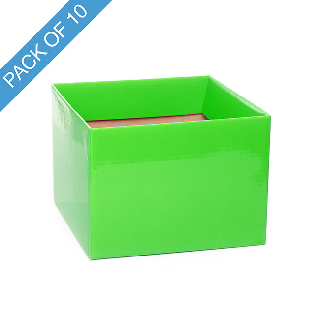 Medium No.6 Posy Box with Flap Pack 10 Lime (16x12cmH)