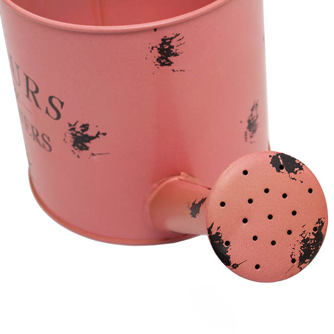 Jardinier Tin Watering Can Pink (13.5x13.5cmH)