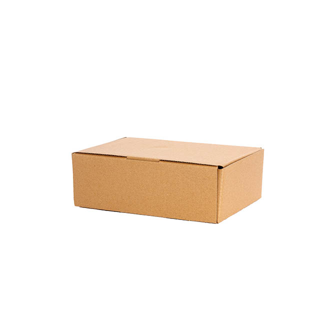 Kraft Mailing Box Pack 10 A5 Small Brown (220Wx160Dx78mmH)