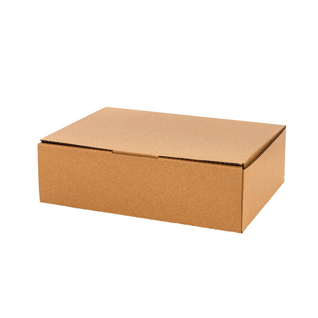Kraft Mailing Box Pack 10 A4 Medium Brown (310Wx225Dx102mmH)