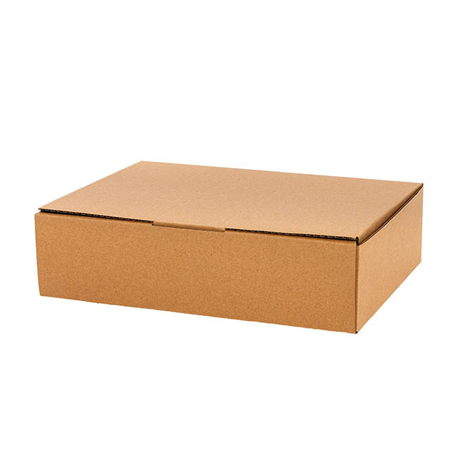 Kraft Mailing Box Pack 10 A3 Large Brown (430Wx305Dx140mmH)