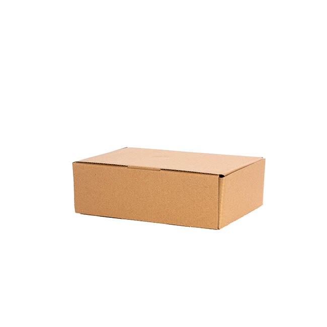 Kraft Mailing Box Pack 10 A5 Small Brown (220Wx160Dx60mmH)