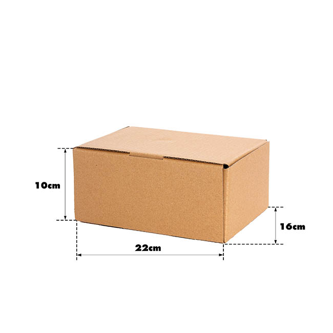 Kraft Mailing Box Pack 10 A5 Small Brown (220Wx160Dx100mmH)