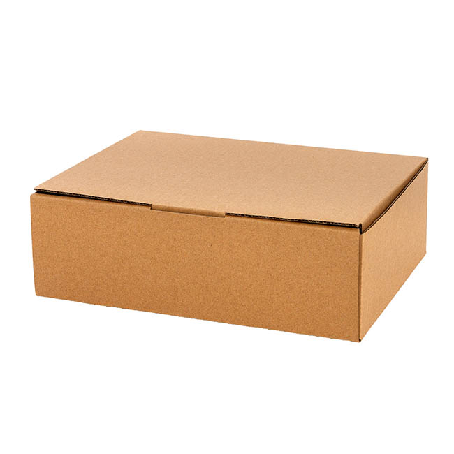 Kraft Mailing Box Pack 10 A3 Large Brown (430Wx305Dx200mmH)