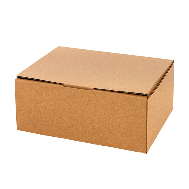 Kraft Mailing Box Pack 10 A3 Large Brown (430Wx305Dx260mmH)