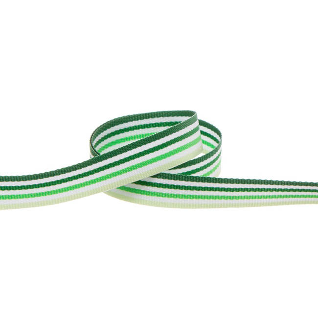 Taffeta Multi Colour Stripes Green (10mmx20m)