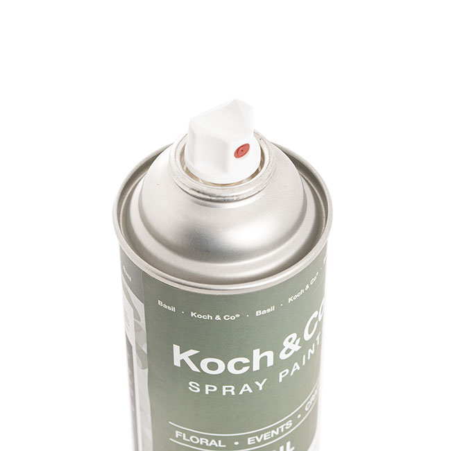 Professional Floral & Craft Design Spray Paint by Koch & Co Pty Ltd - Issuu