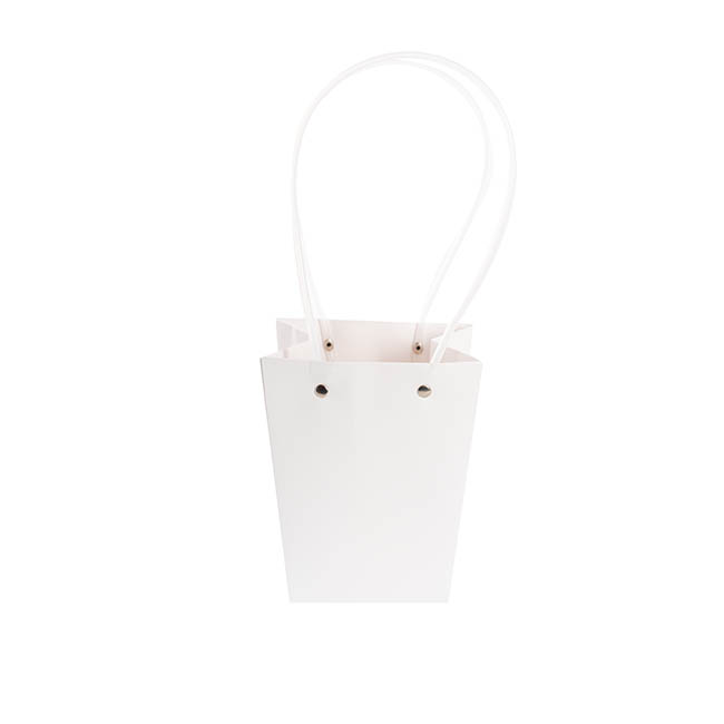 Flower Carry Bag Kraft White Medium Pk5 (12x17x20cmH)