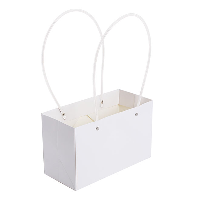 Flower Carry Bag Kraft White Rectangle Pk5 (22x10.5x13cmH)