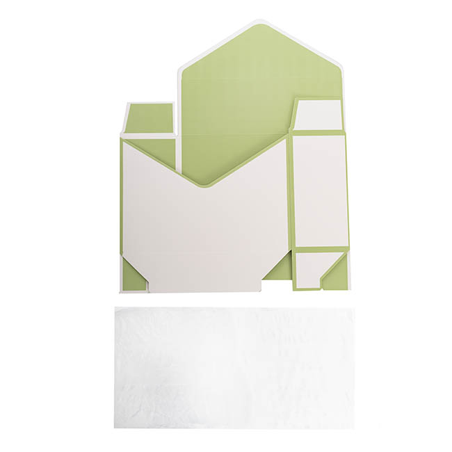 Envelope Flower Box Large Pack 5 White Green (23Lx8Dx16cmH)