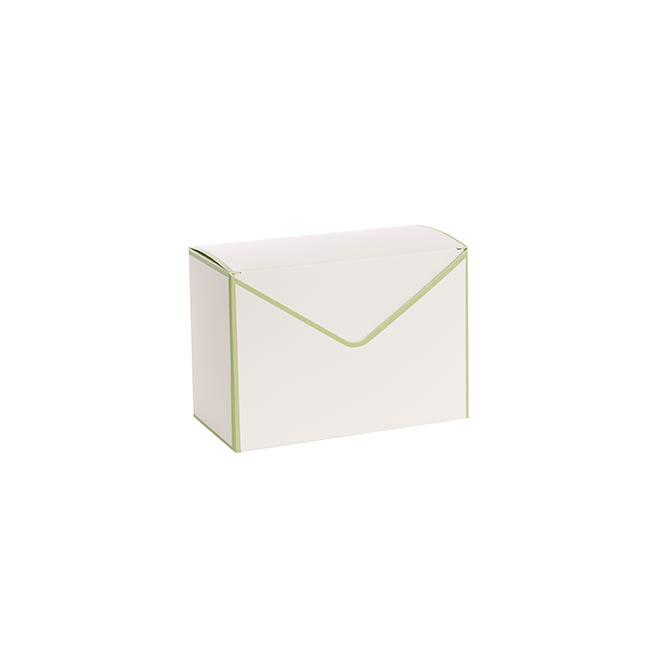 Envelope Flower Box Small Pk5 White Green (15.5Lx8Dx11cmH)