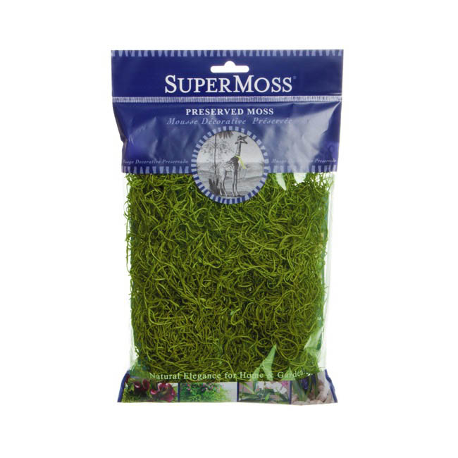 Spanish Moss Preserved Grass Green (110gm Bag)