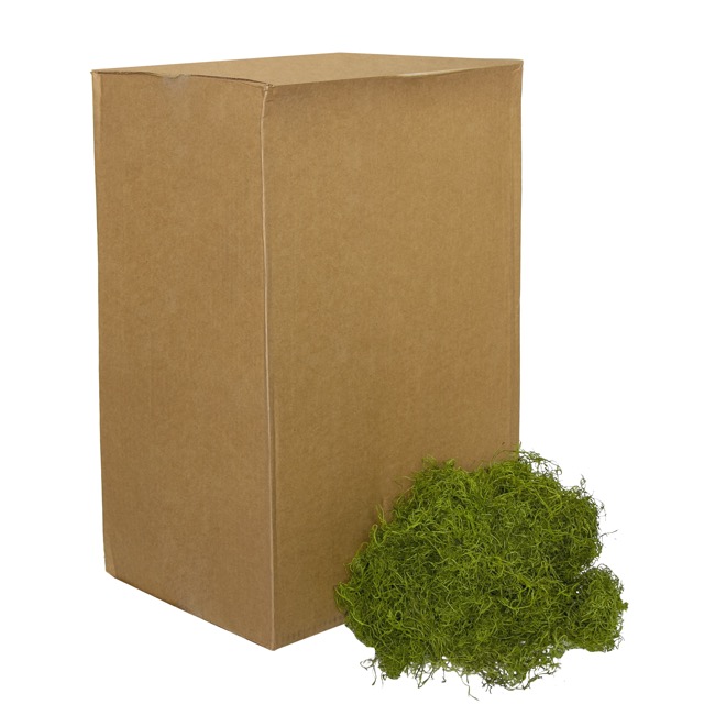 Spanish Moss Preserved Bulk Grass Green (4.55kg Box)