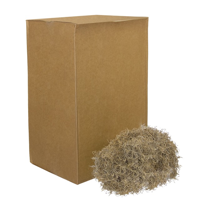 Spanish Moss Preserved Bulk Natural (4.55kg Box)